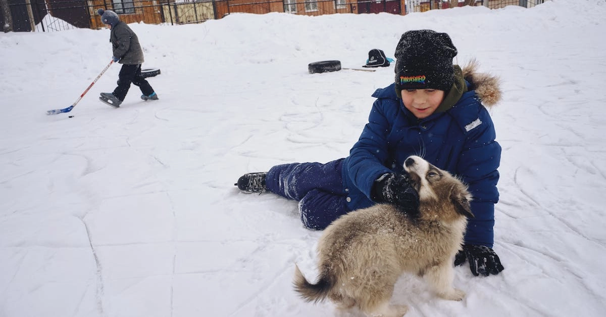 Честный взгляд на слот The Dog House Megaways