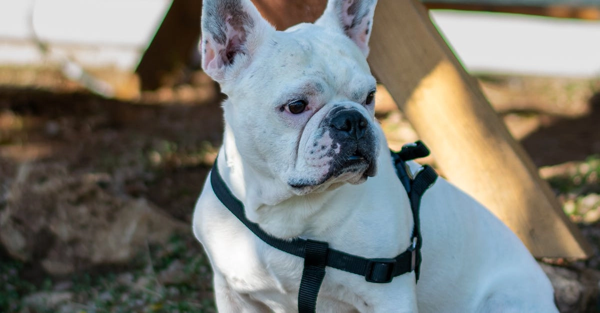 Программы лояльности казино без депозита - честный обзор условий