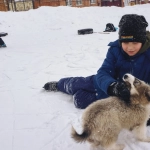 Слот игра The Dog House - честный обзор и личные впечатления